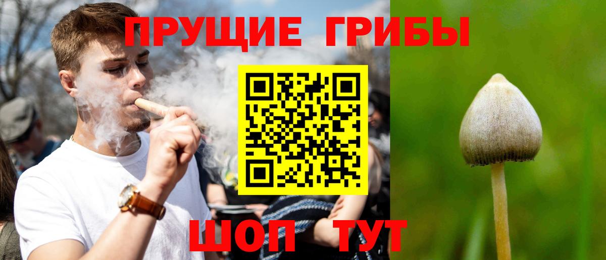 Октябрьский  где найти наркотики  Вход с VPN  Псилоцибиновые грибы Cubensis 