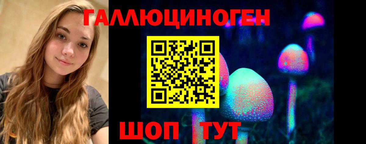 Псилоцибиновые грибы Psilocybe Октябрьский